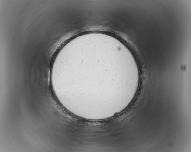 X0000111921221200908241042