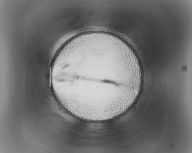 X0000111921223200908241042