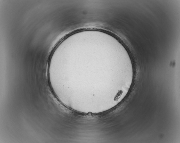 X0000111921224200908241042