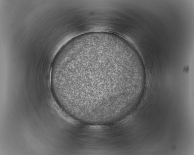 X0000111921227200908241042