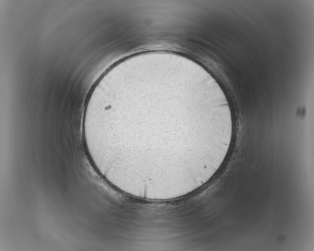 X0000111921228200908241042