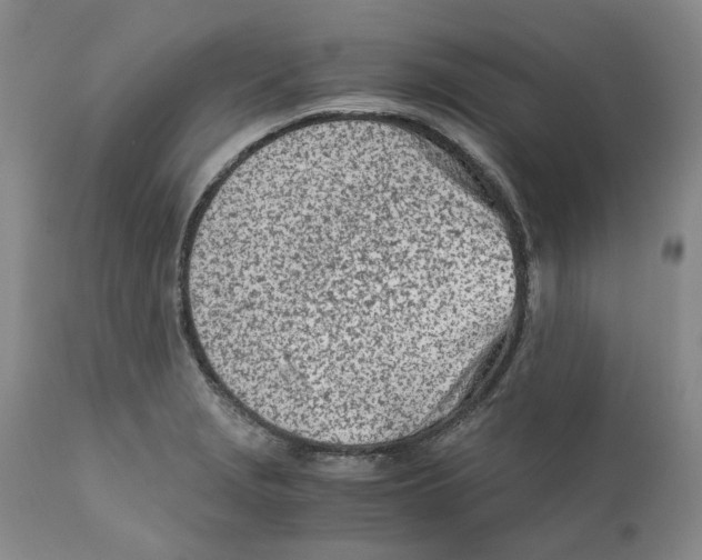 X0000111921229200908241043