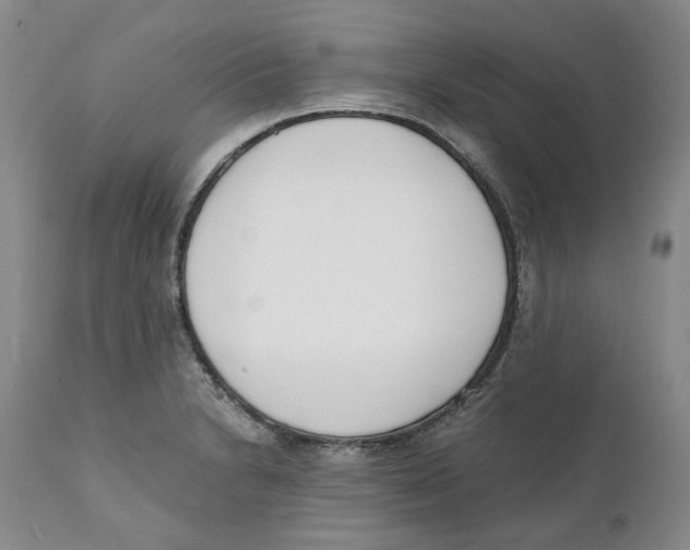 X0000111921230200908241043