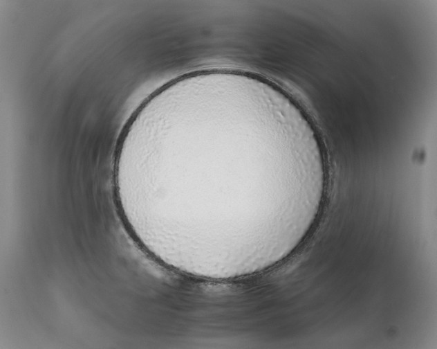 X0000111921231200908241043