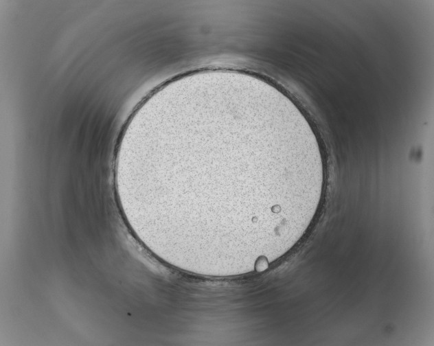 X0000111921232200908241043