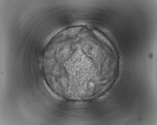 X0000111921233200908241043