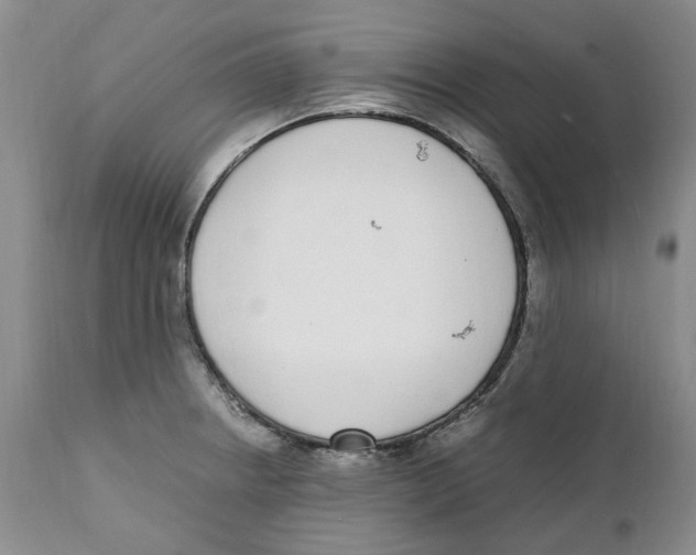 X0000111921234200908241043