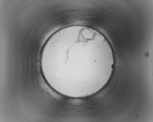 X0000111921235200908241043