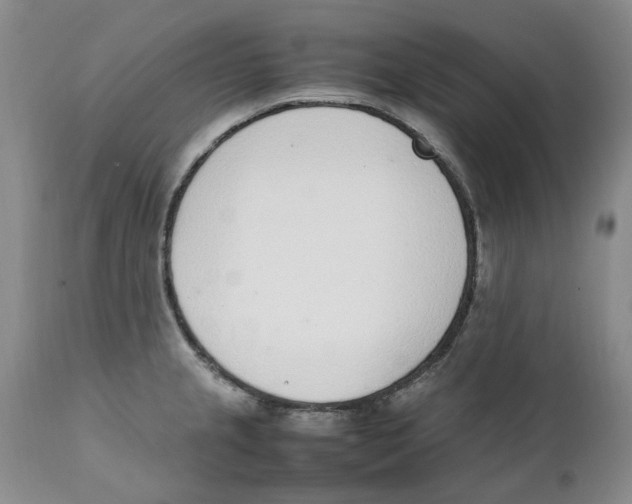 X0000111921237200908241043