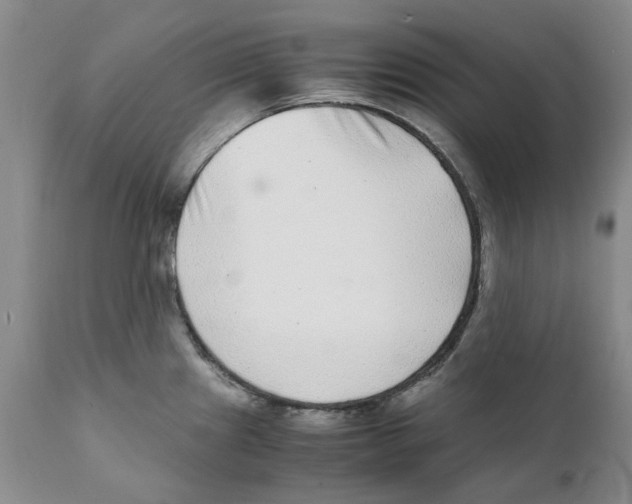 X0000111921241200908241043