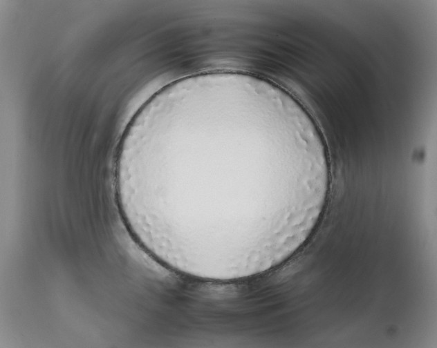 X0000111921243200908241043