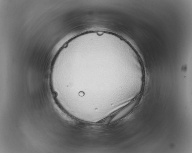 X0000111921245200908241043