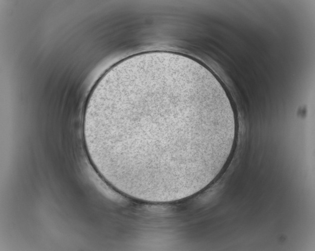 X0000111921246200908241043