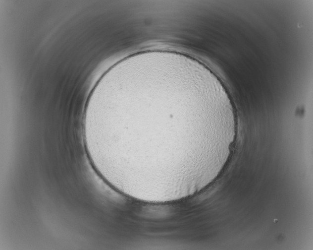 X0000111921247200908241043