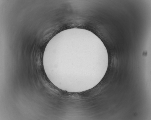 X0000111921250200908241042