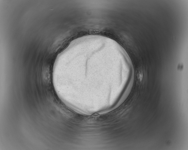 X0000111921252200908241042