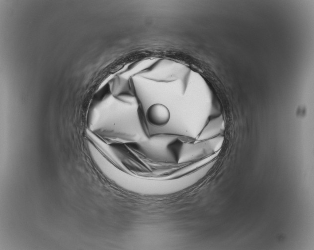 X0000111921253200908241042