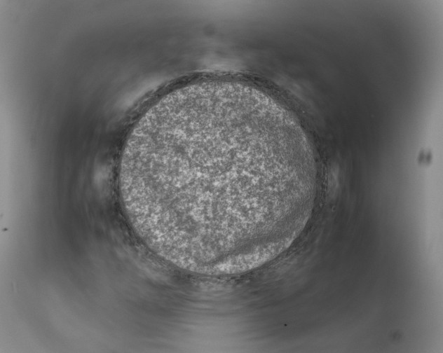 X0000111921254200908241042