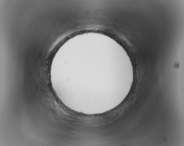 X0000111921256200908241042