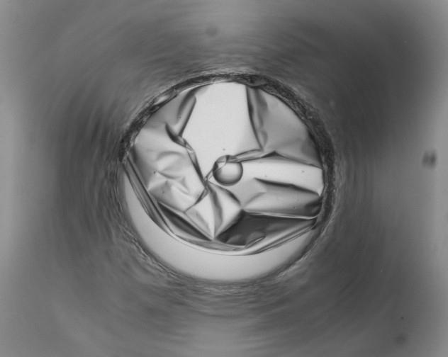 X0000111921257200908241042