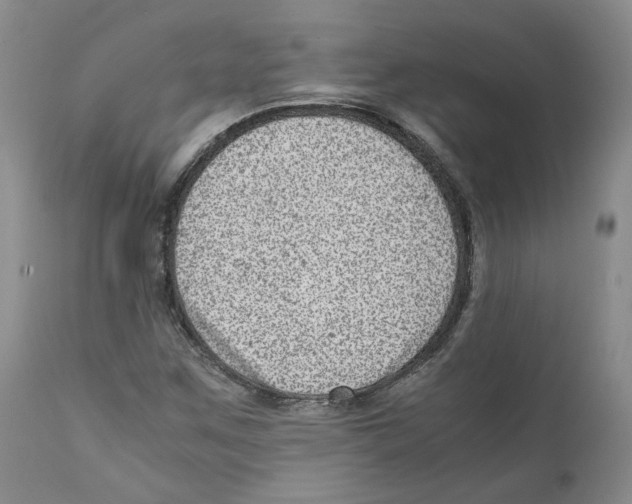 X0000111921259200908241042