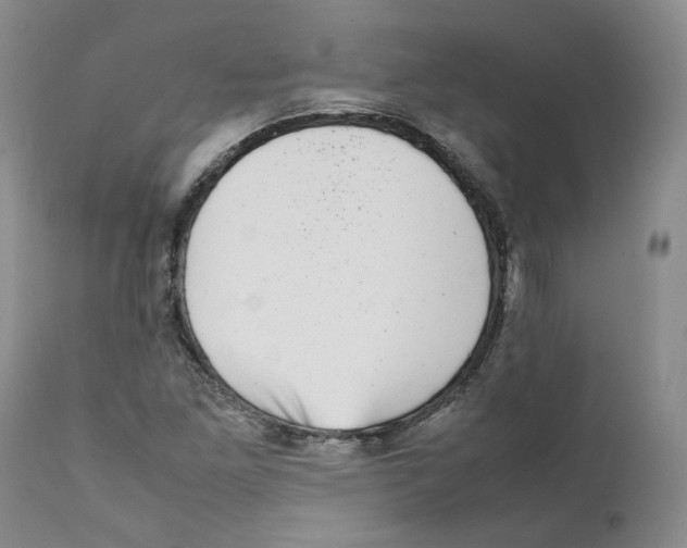 X0000111921261200908241042