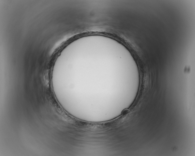 X0000111921262200908241042