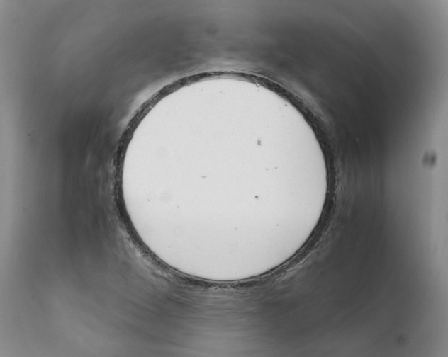 X0000111921264200908241042