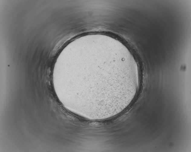 X0000111921265200908241042