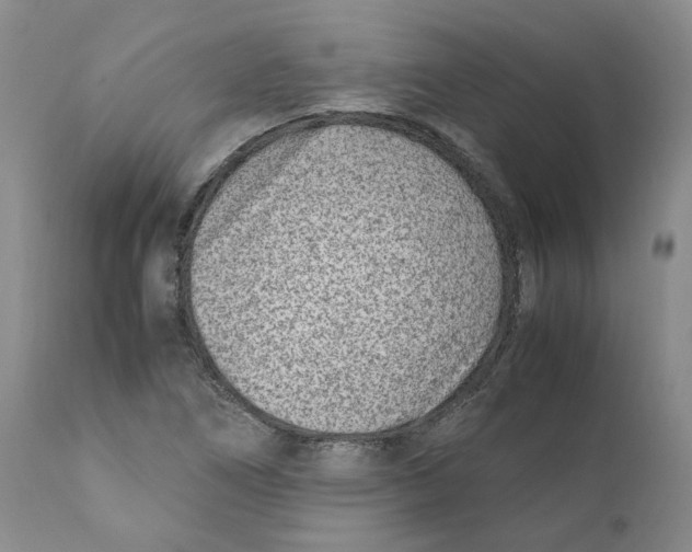 X0000111921266200908241042