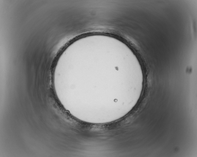 X0000111921267200908241042