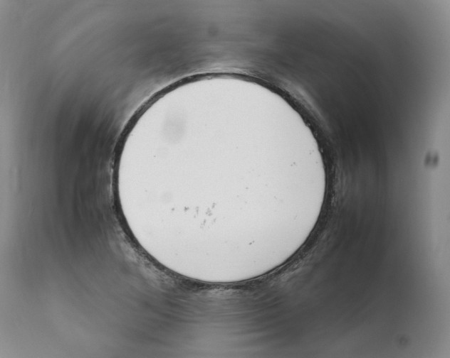 X0000111921268200908241042