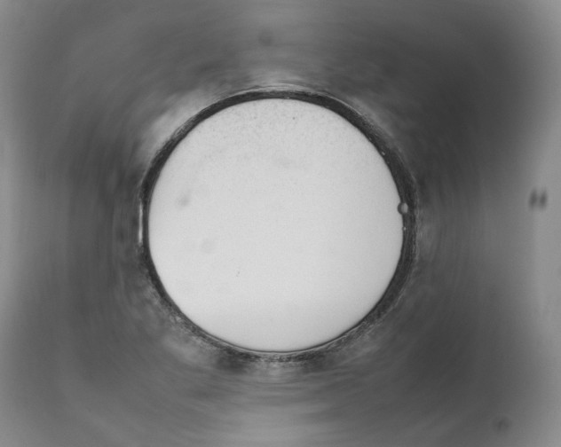 X0000111921269200908241042