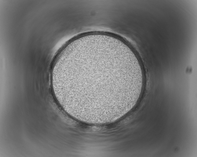 X0000111921271200908241042