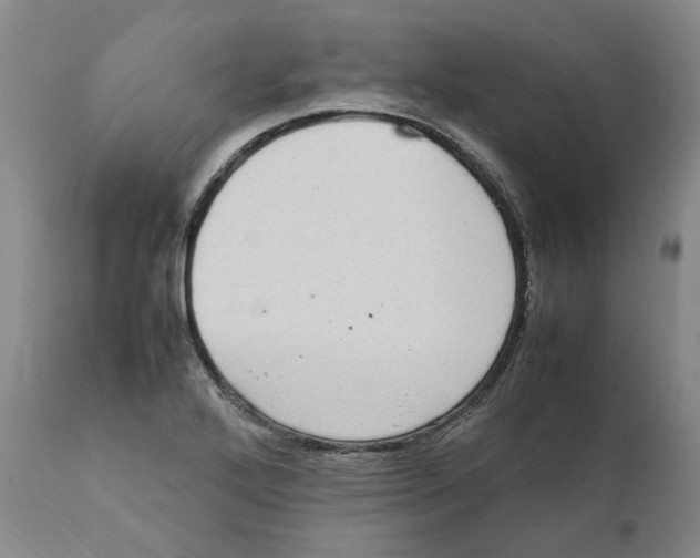 X0000111921272200908241042