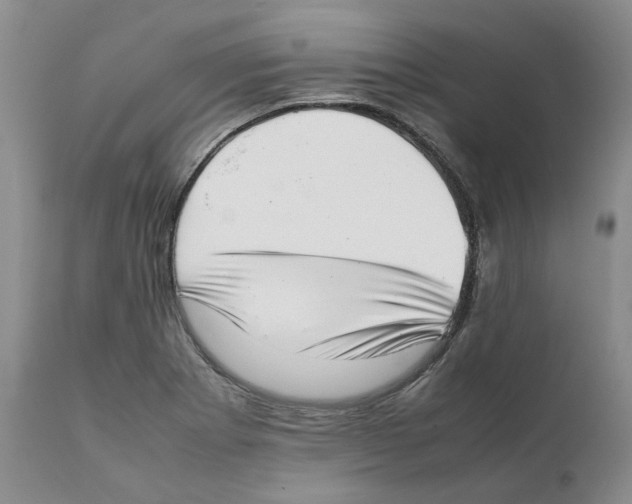 X0000111921273200908241042