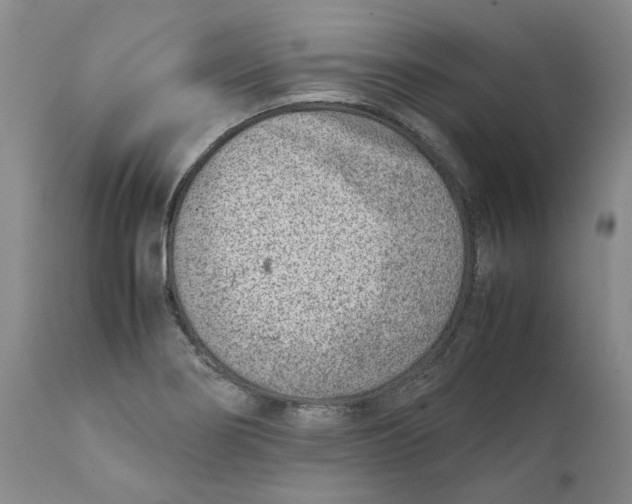 X0000111921274200908241042