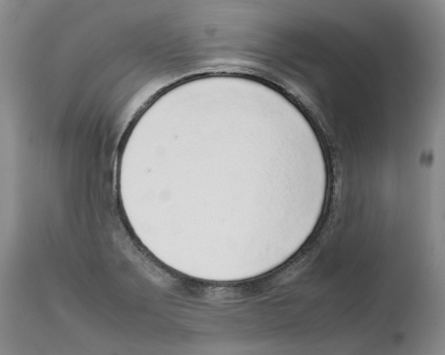 X0000111921275200908241042