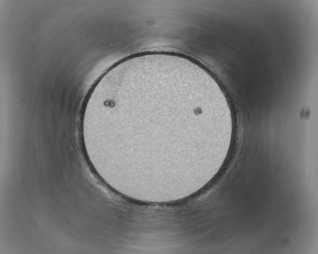 X0000111921277200908241042