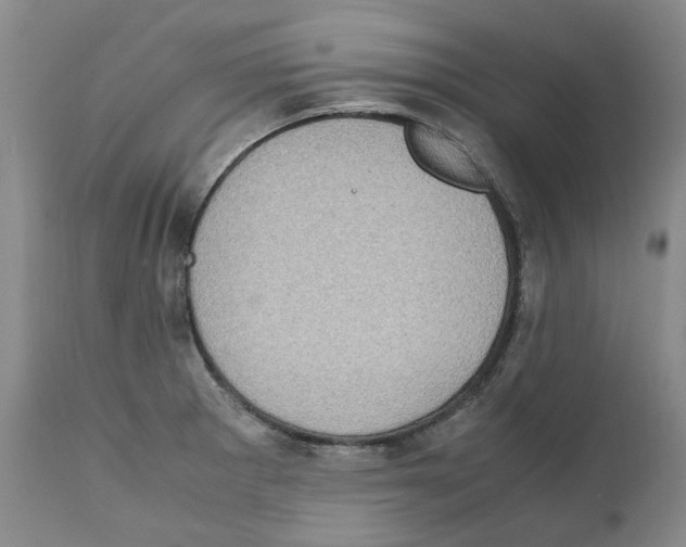 X0000111921281200908241042