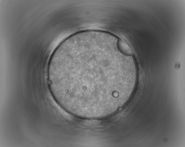 X0000111921285200908241042