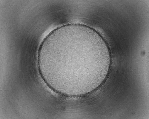 X0000111921286200908241042