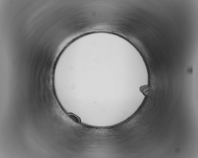 X0000111921288200908241042