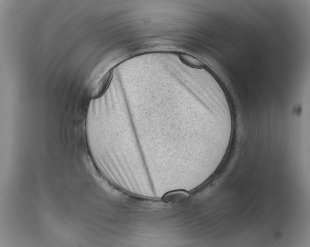 X0000111921289200908241042