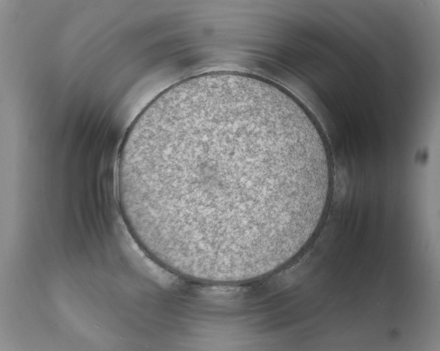 X0000111921290200908241042