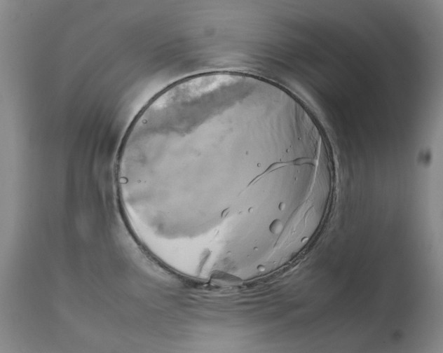 X0000111921291200908241042