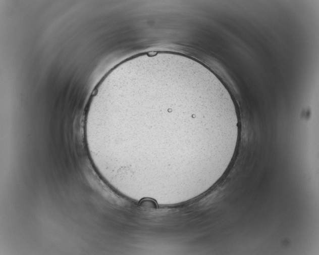 X0000111921292200908241042