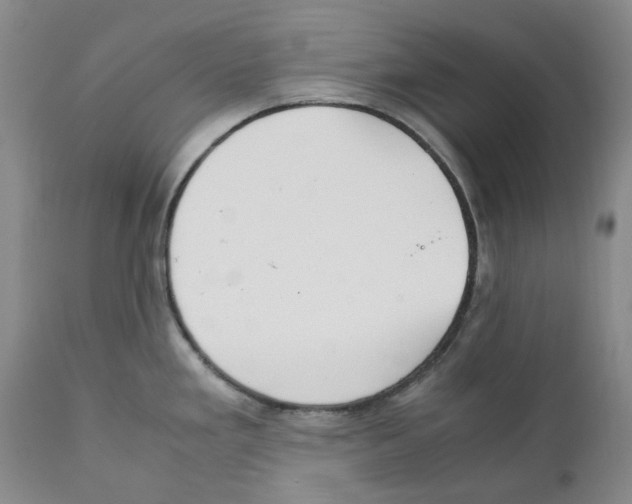 X0000111921293200908241041