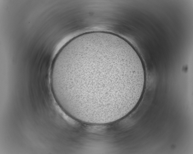 X0000111921294200908241041