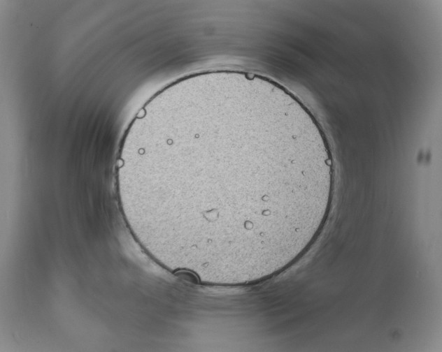 X0000111921296200908241041